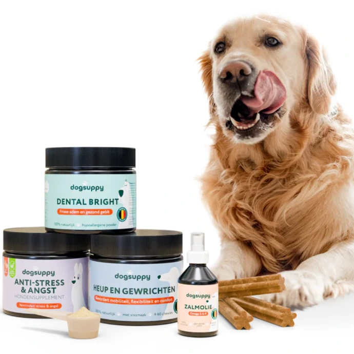 dogsuppy